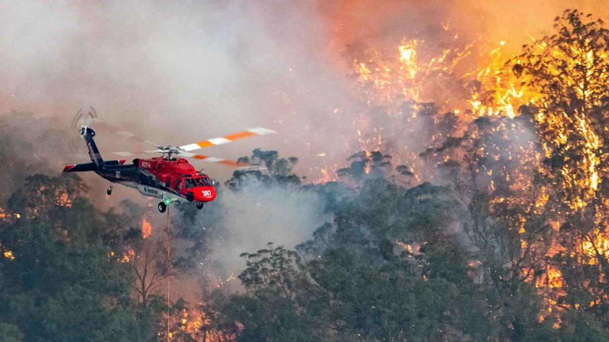 La "Temporada Negra" en Australia afectó a más de mil millones de animales, generando un daño ambiental inmenso.