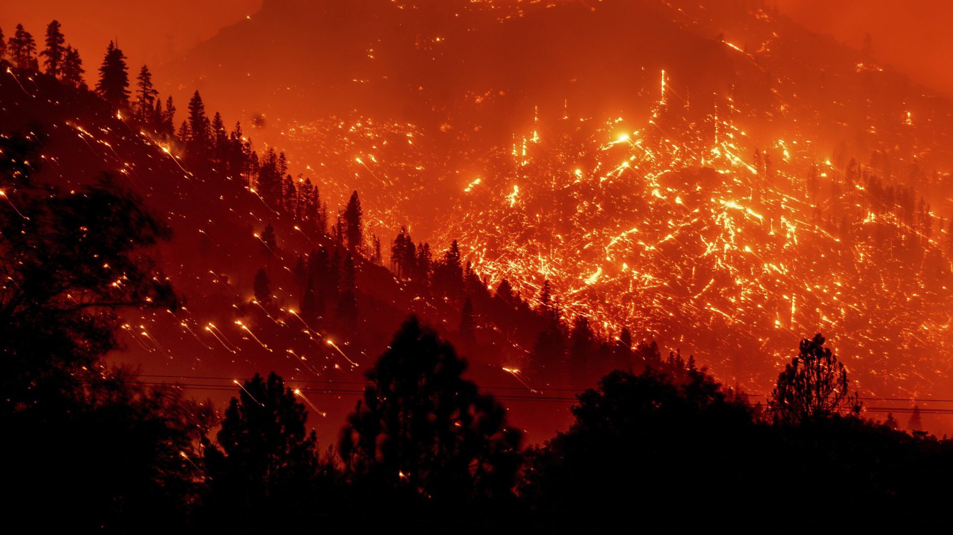 Más de 4 millones de hectáreas fueron alcanzadas por el fuego en 2020 en California.