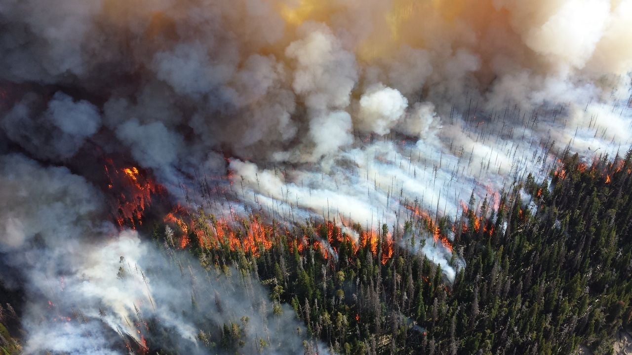 Decenas de muertos, cientos de heridos y más de 22 millones de hectáreas quemadas en el incendio forestal de Siberia en 2003.