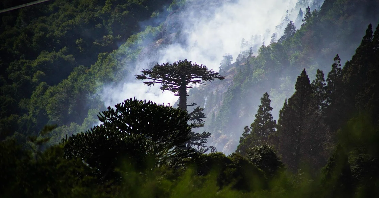 Incendio en el Parque Nacional Lanín: 15.200 hectáreas afectadas.